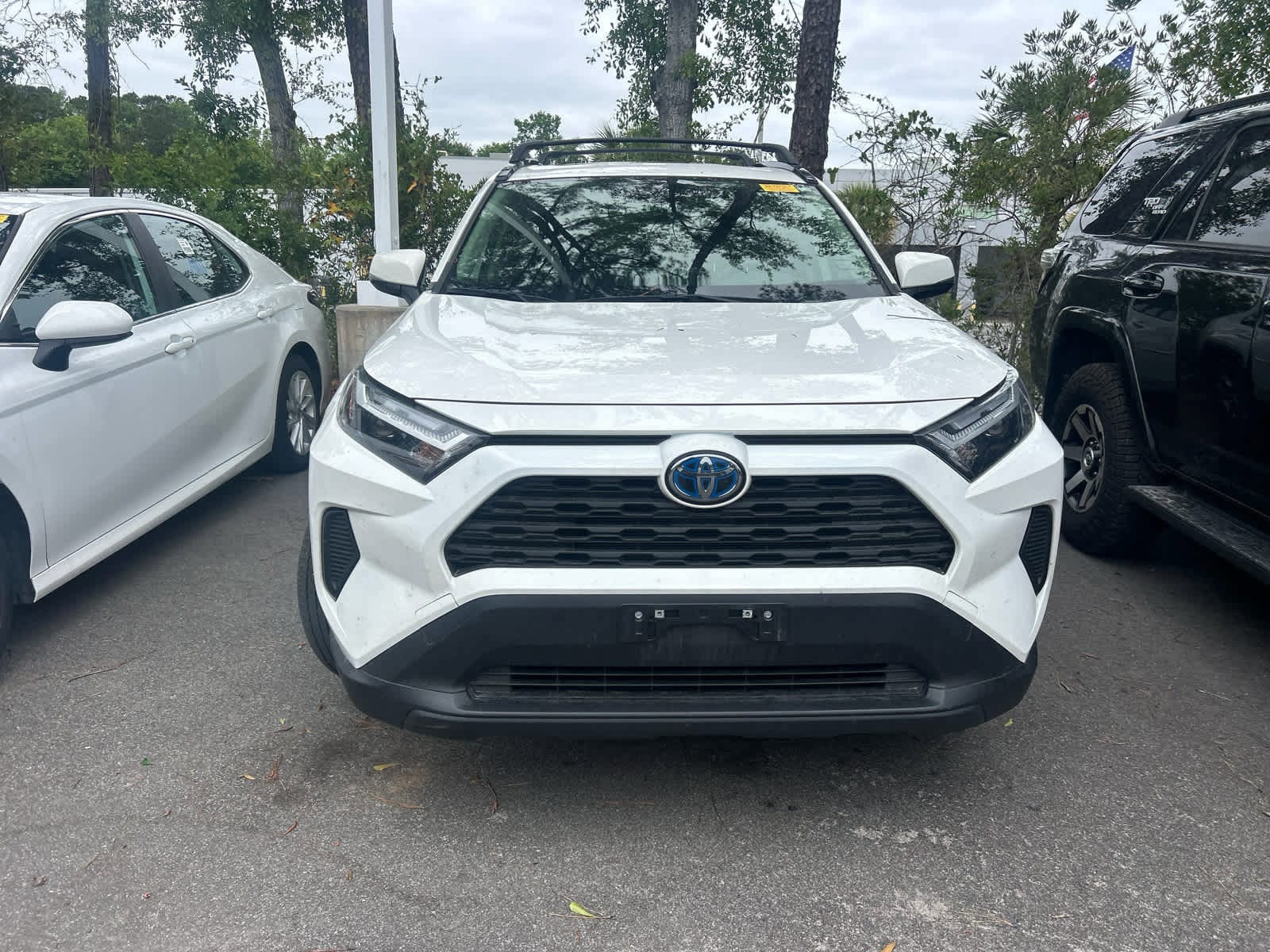 2024 Toyota RAV4 Hybrid XLE photo 2