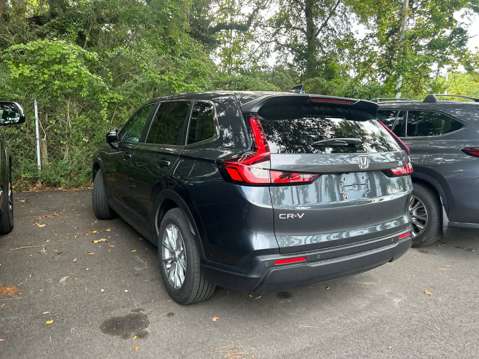2HKRS4H7XSH486641