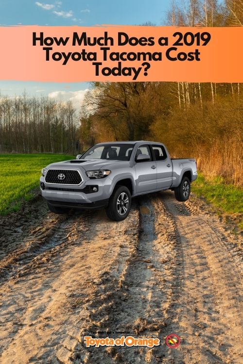 japanese auto service tacoma