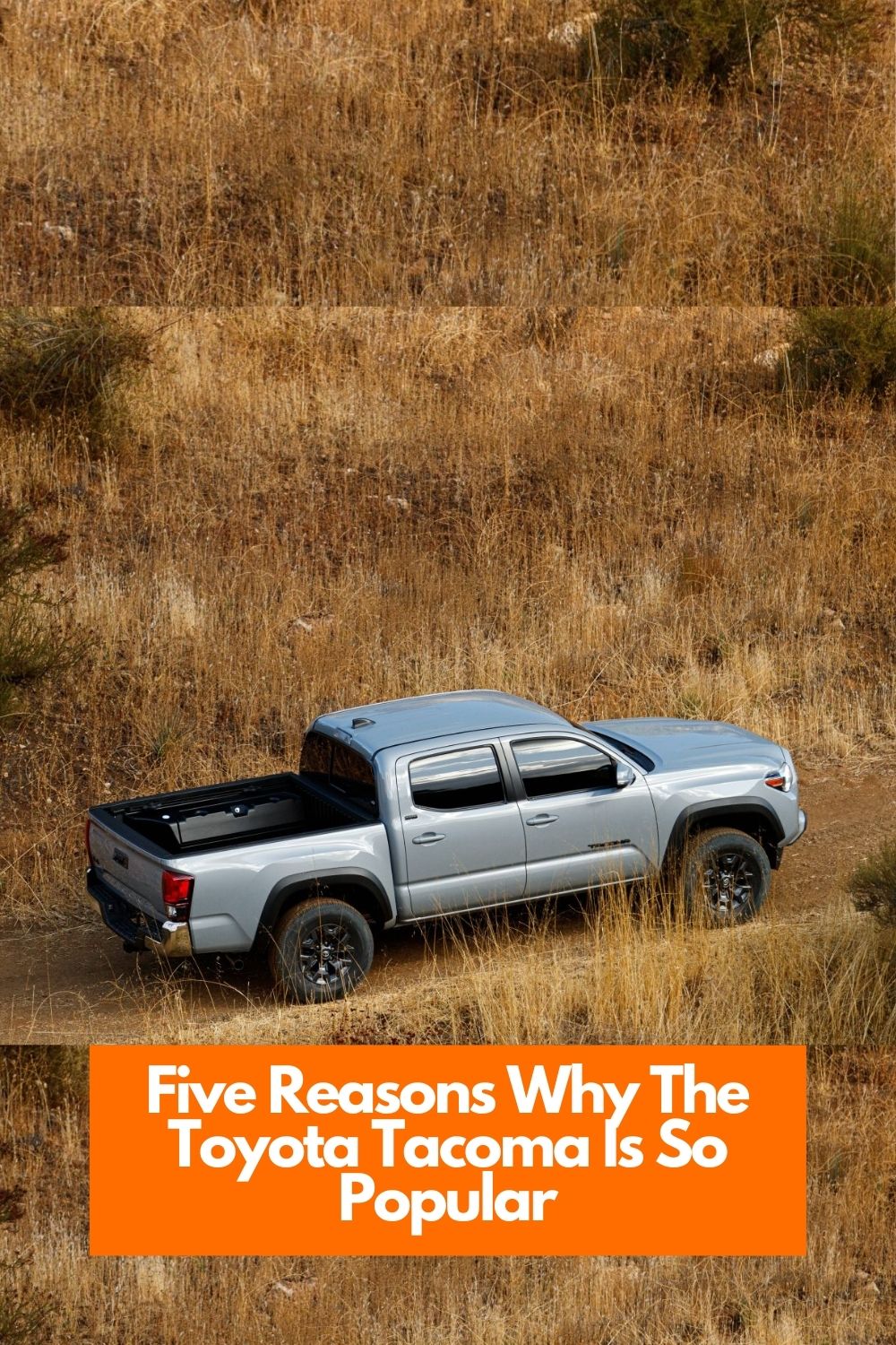 Five Reasons Why The Toyota Tacoma Is So Popular | Toyota of Orange