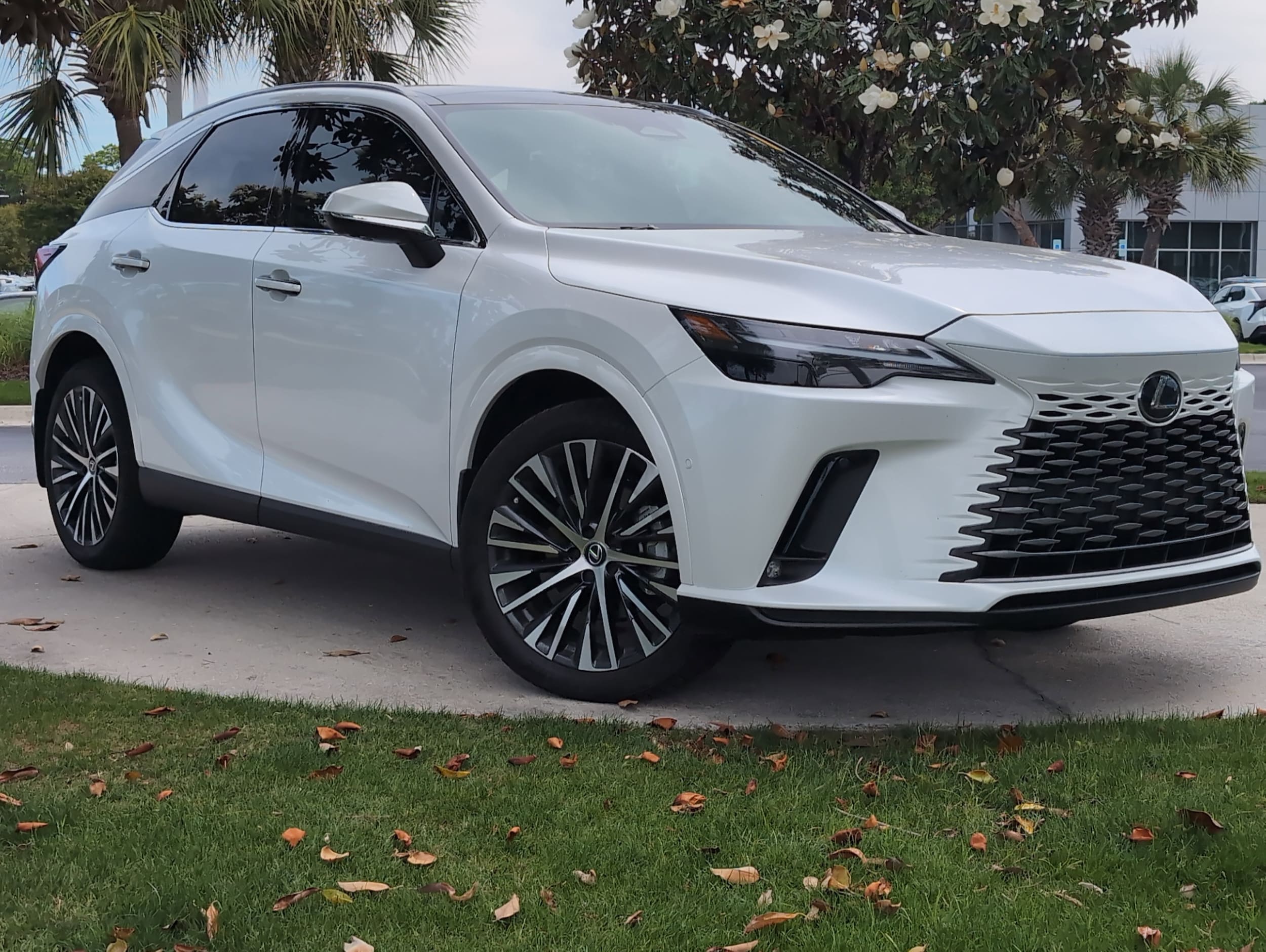 2025 LEXUS RX RX 350h Premium Plus photo 1