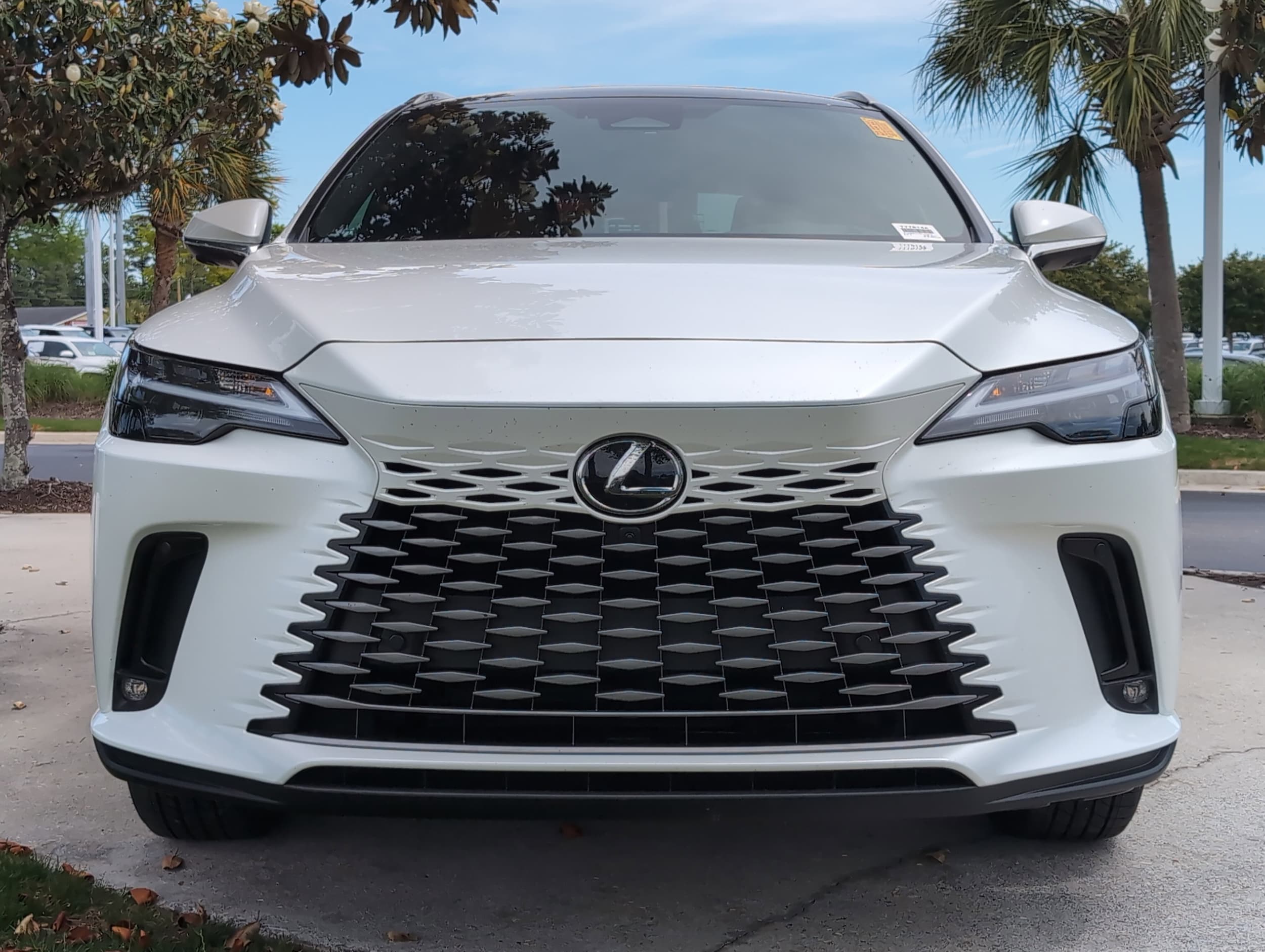 2025 LEXUS RX RX 350h Premium Plus photo 2