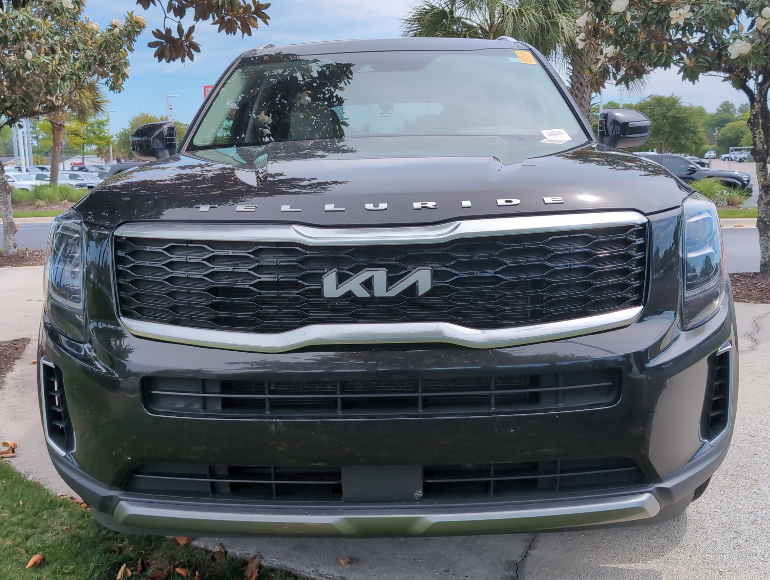 2022 Kia Telluride EX photo 2