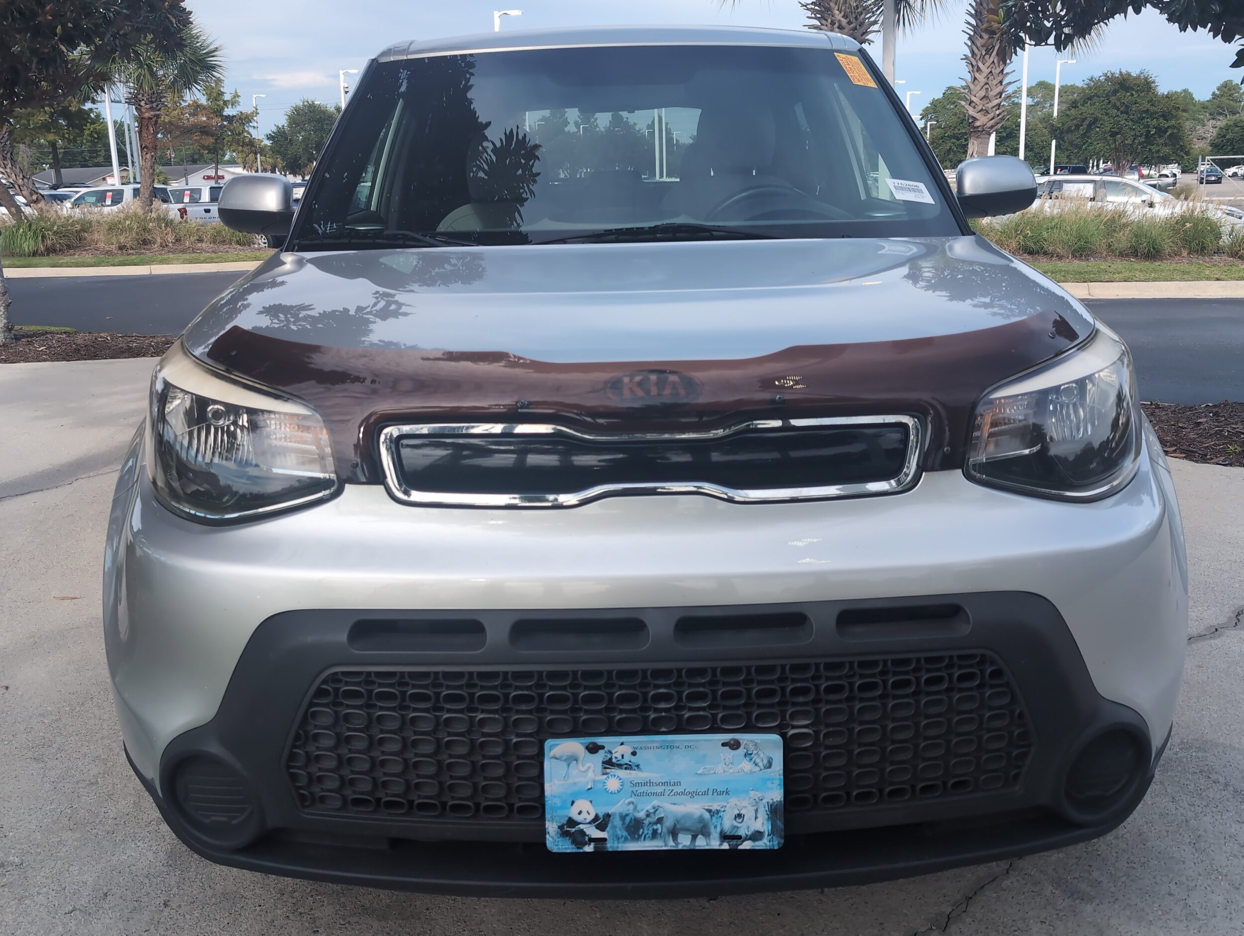 2015 Kia Soul photo 3