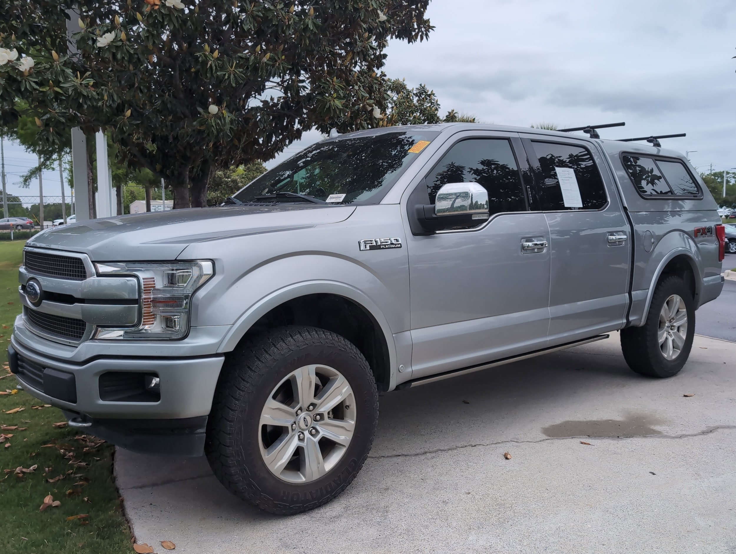 2020 Ford F-150 Platinum photo 5