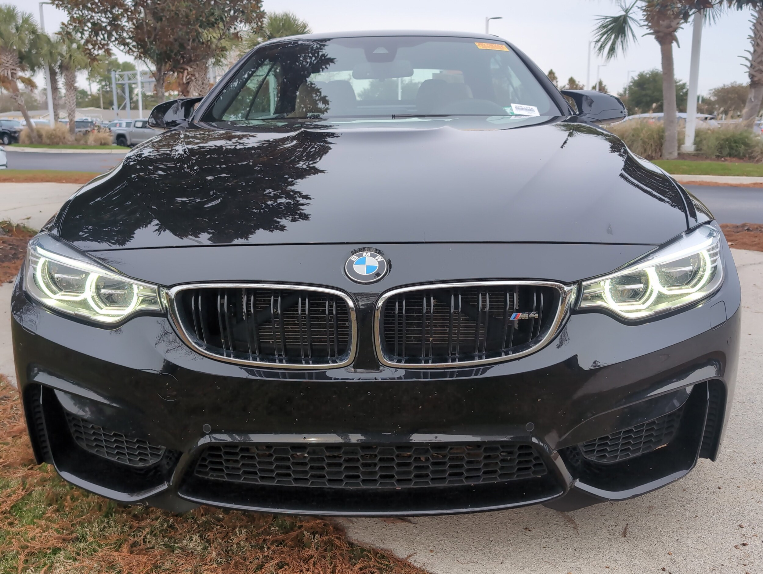 2016 Bmw M4 Convertible photo 2