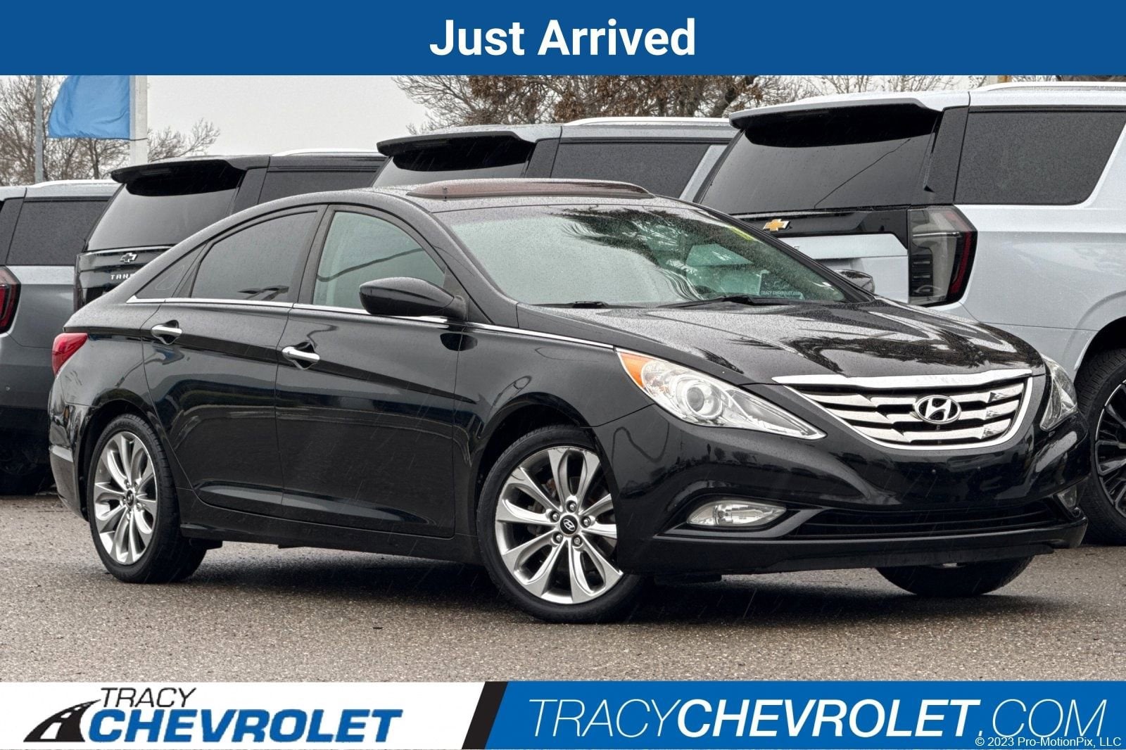 2013 Hyundai Sonata SE's photo