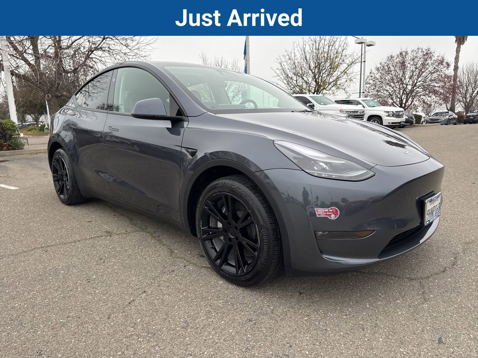 2023 Tesla Model Y Long Range's photo