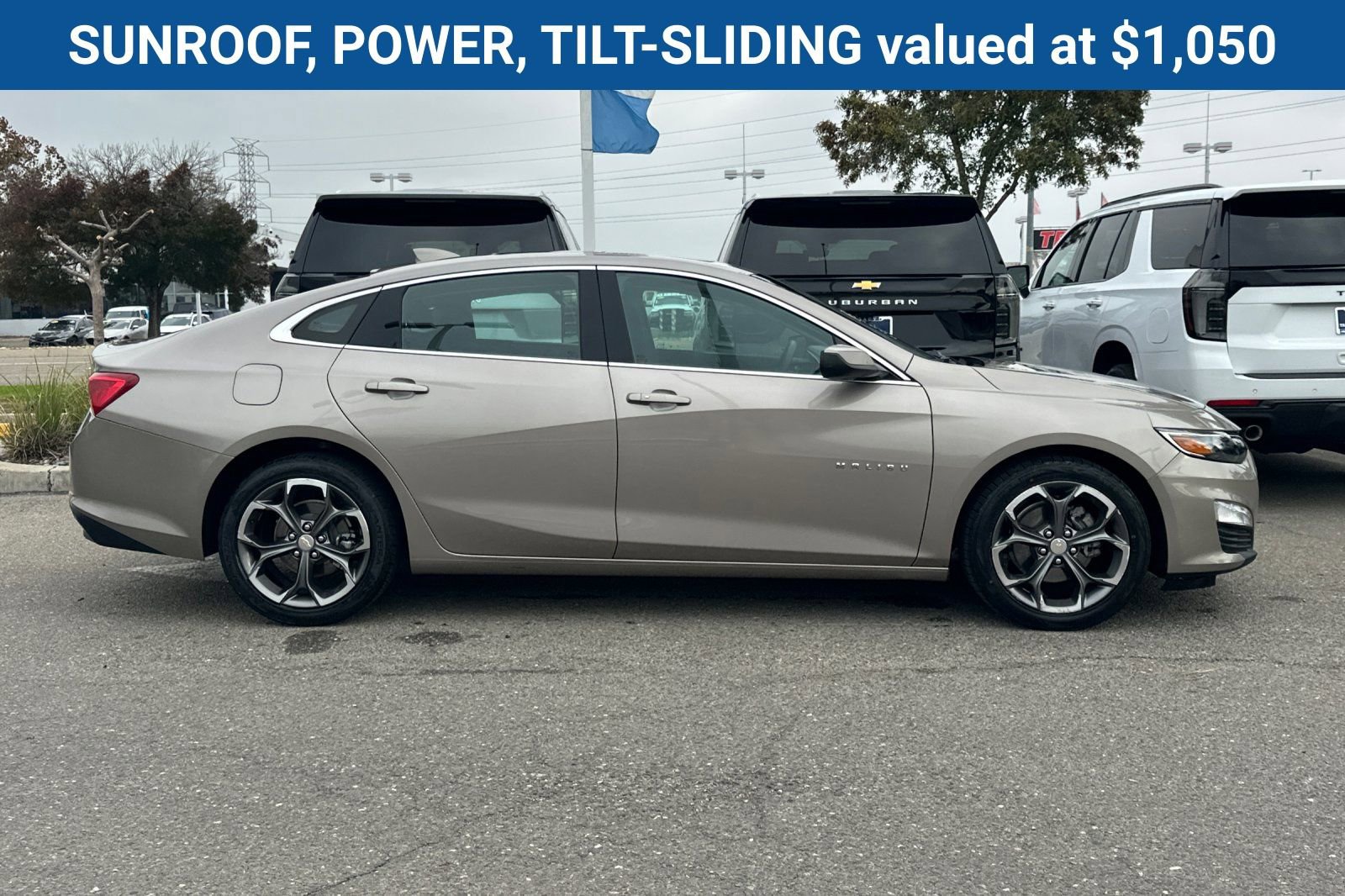 2023 Chevrolet Malibu 1LT photo 2