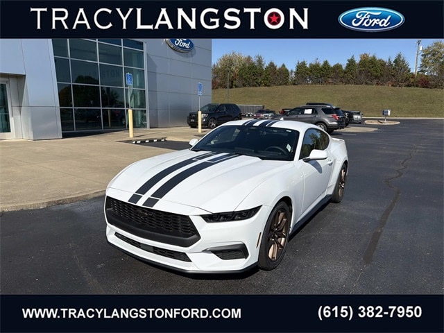 2026 Ford Mustang EcoBoost's photo