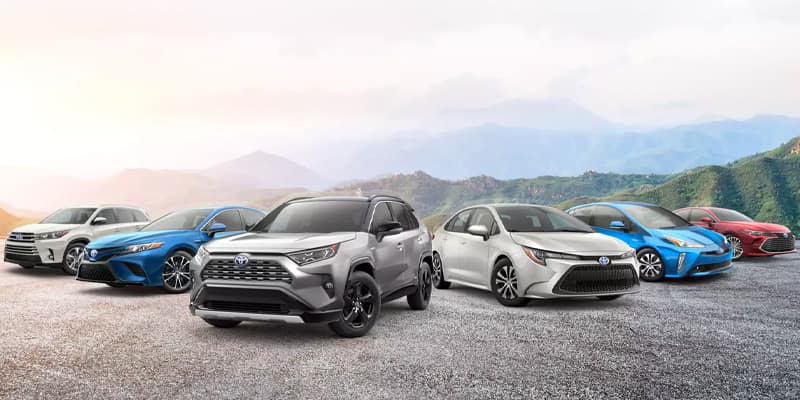 All New Toyota Models