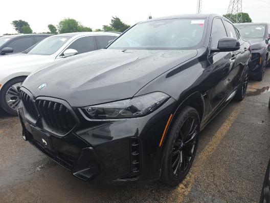 2025 BMW X6 xDrive40i's photo