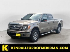 2013 Ford F-150 XLT Truck