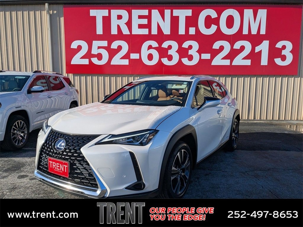2021 Lexus UX Hybrid 250h's photo