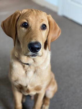 Staff member TEDDY from 62f9c2d0d48c