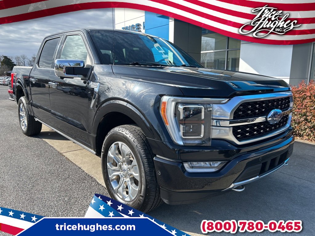 2021 Ford F-150 Platinum's photo