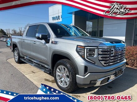 2025 GMC Sierra 1500 Denali Truck