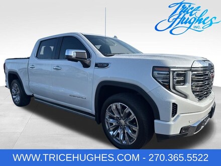 2024 GMC Sierra 1500 Denali Truck