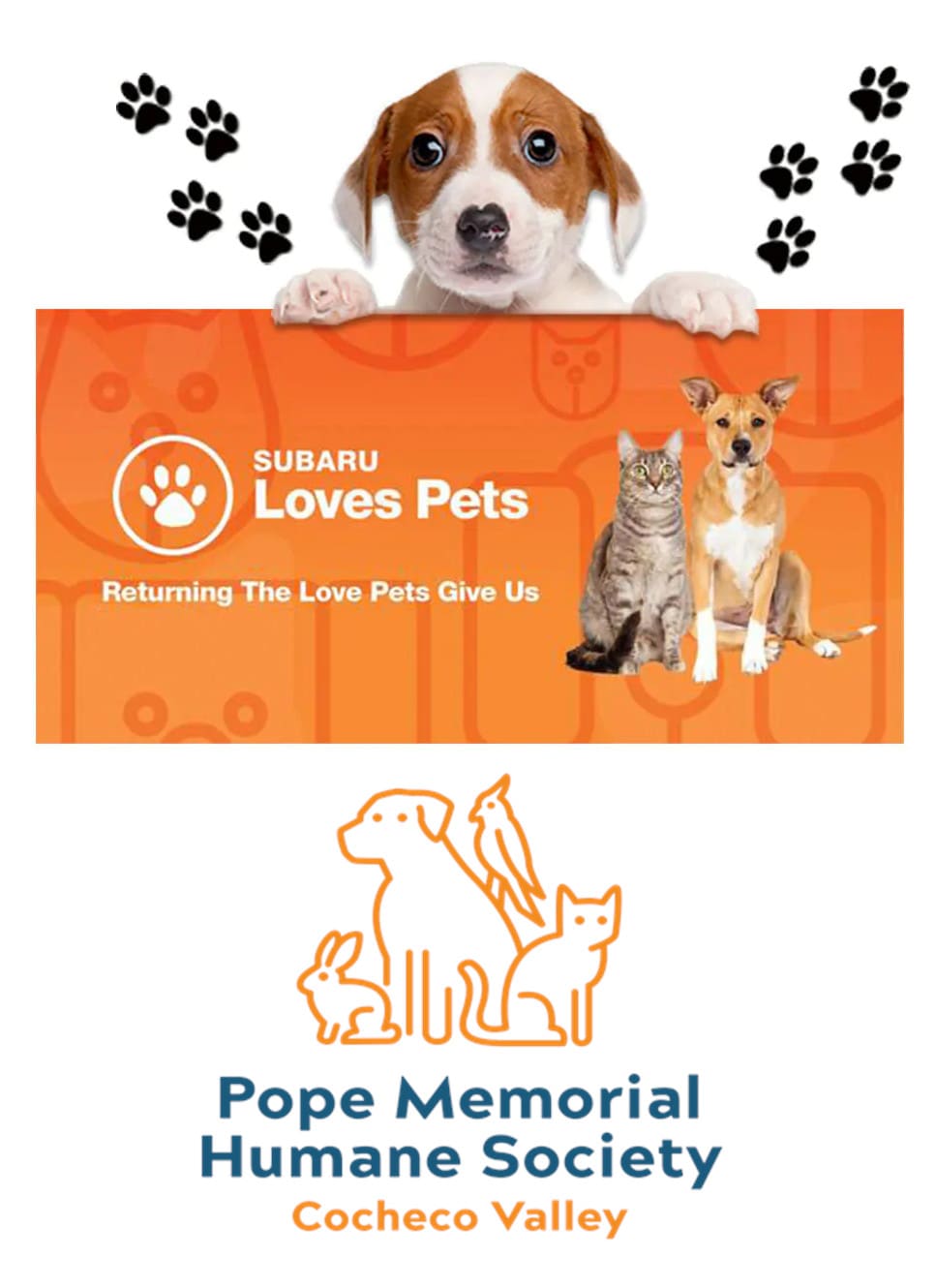 We Love Pets TriCity Subaru in Somersworth, NH