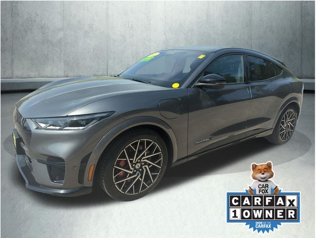 2023 Ford Mustang-Mach-e GT's photo