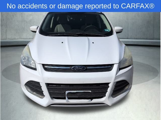 2016 Ford Escape SE photo 2