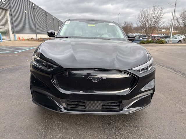 Used 2025 Ford Mustang Mach-E Premium AWD with VIN 3FMTK3SU8SMA43604 for sale in Buckner, KY