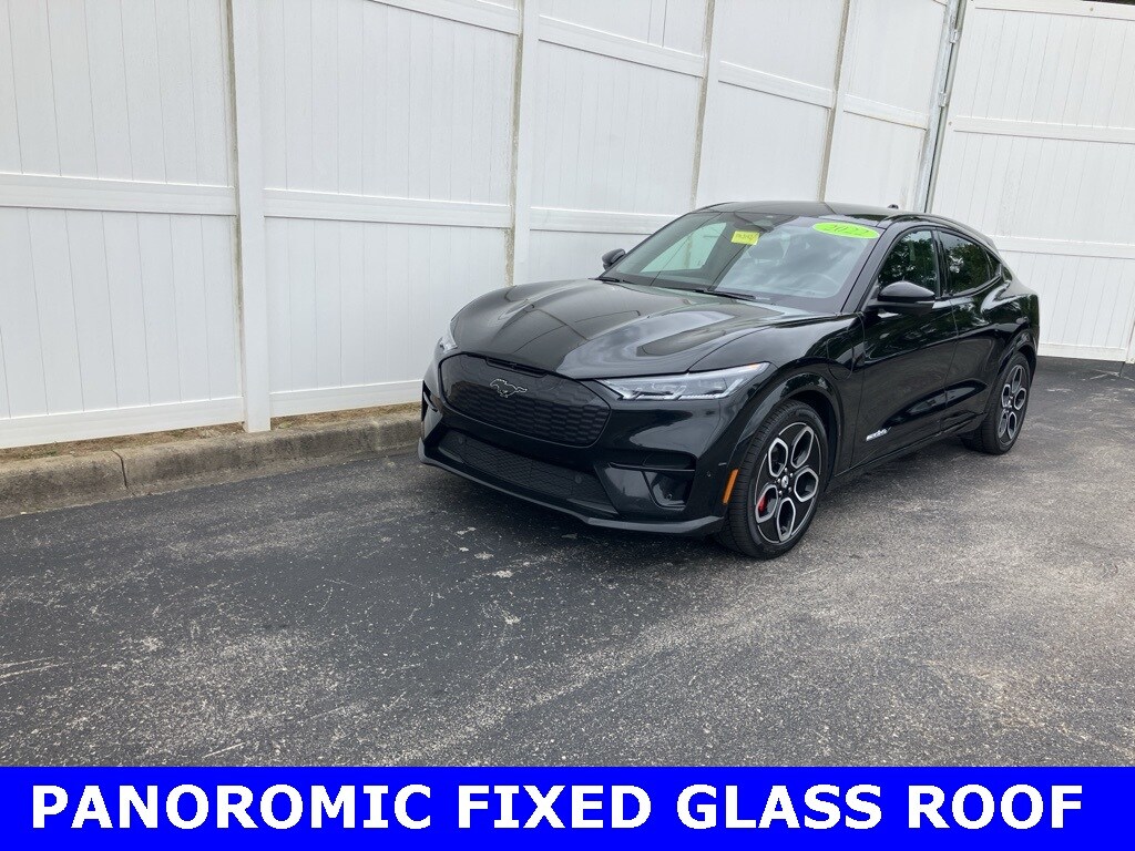2022 Ford Mustang Mach-E GT photo 3
