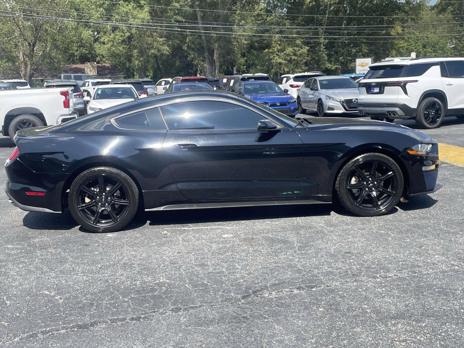 2020 Ford Mustang EcoBoost photo 2