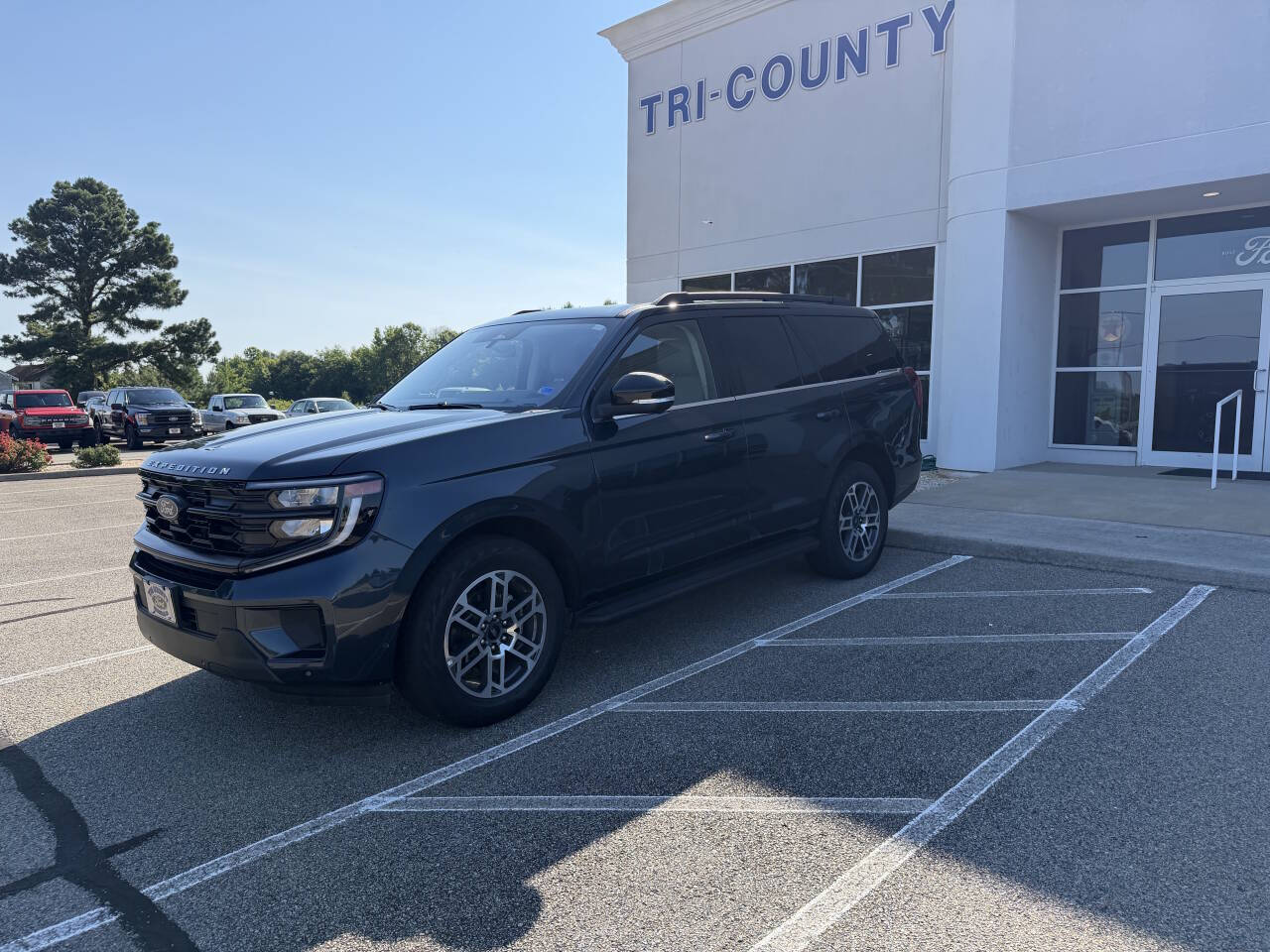 2025 Ford Expedition Active 4x4's photo