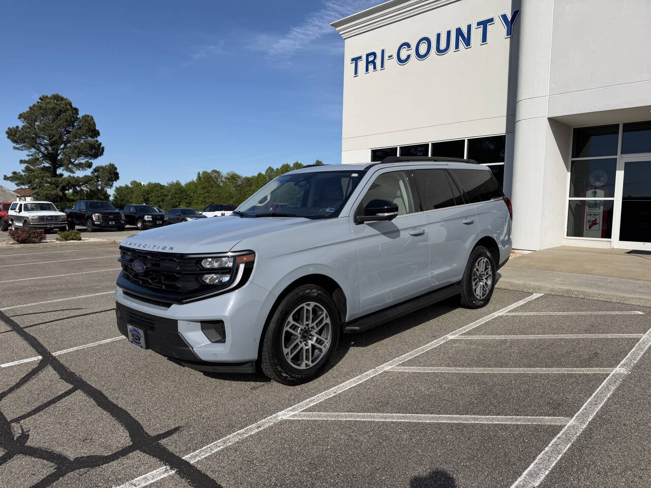 2025 Ford Expedition Active 4x4's photo