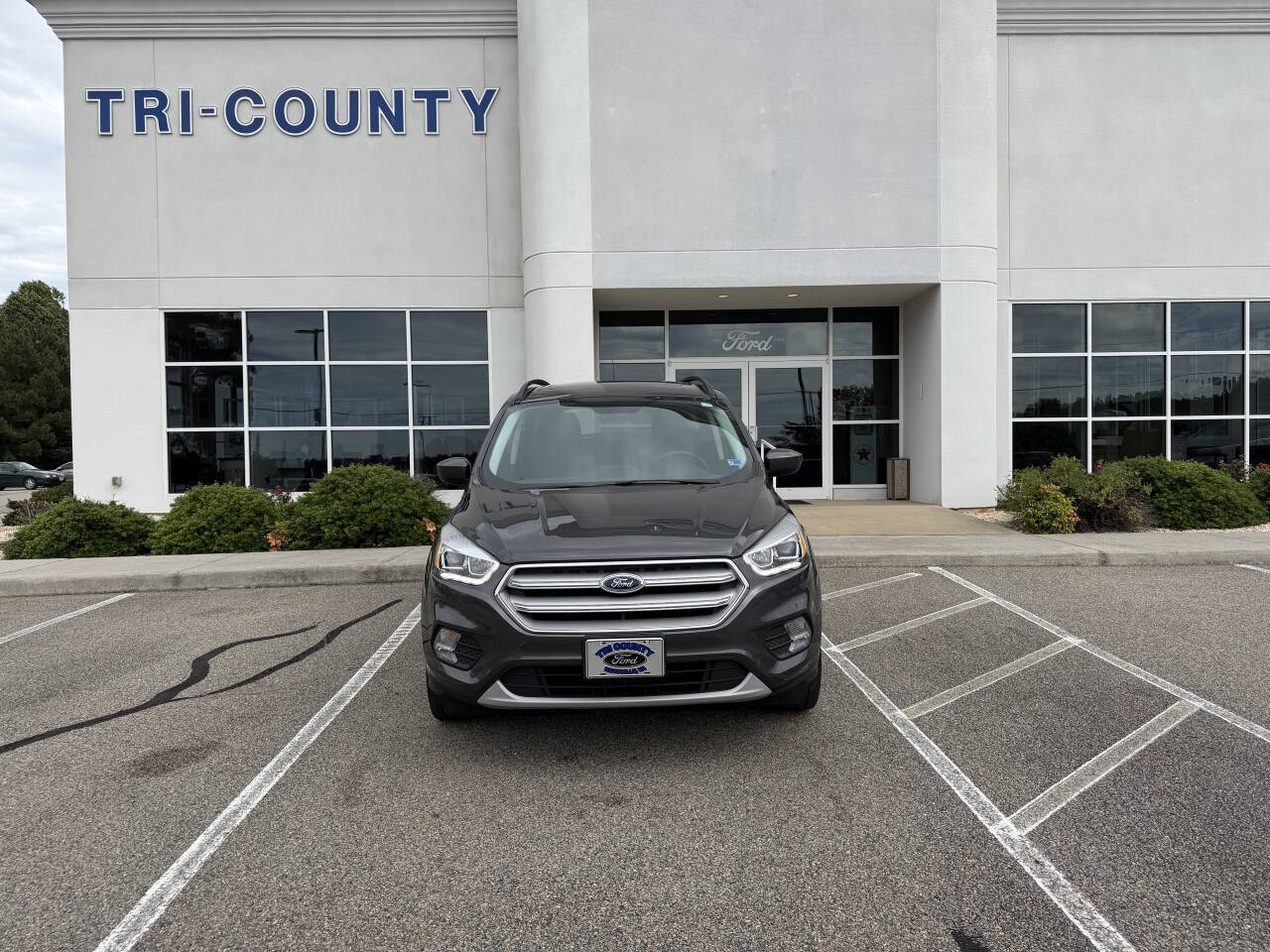 Used 2019 Ford Escape SEL with VIN 1FMCU9HD5KUC47390 for sale in Keysville, VA