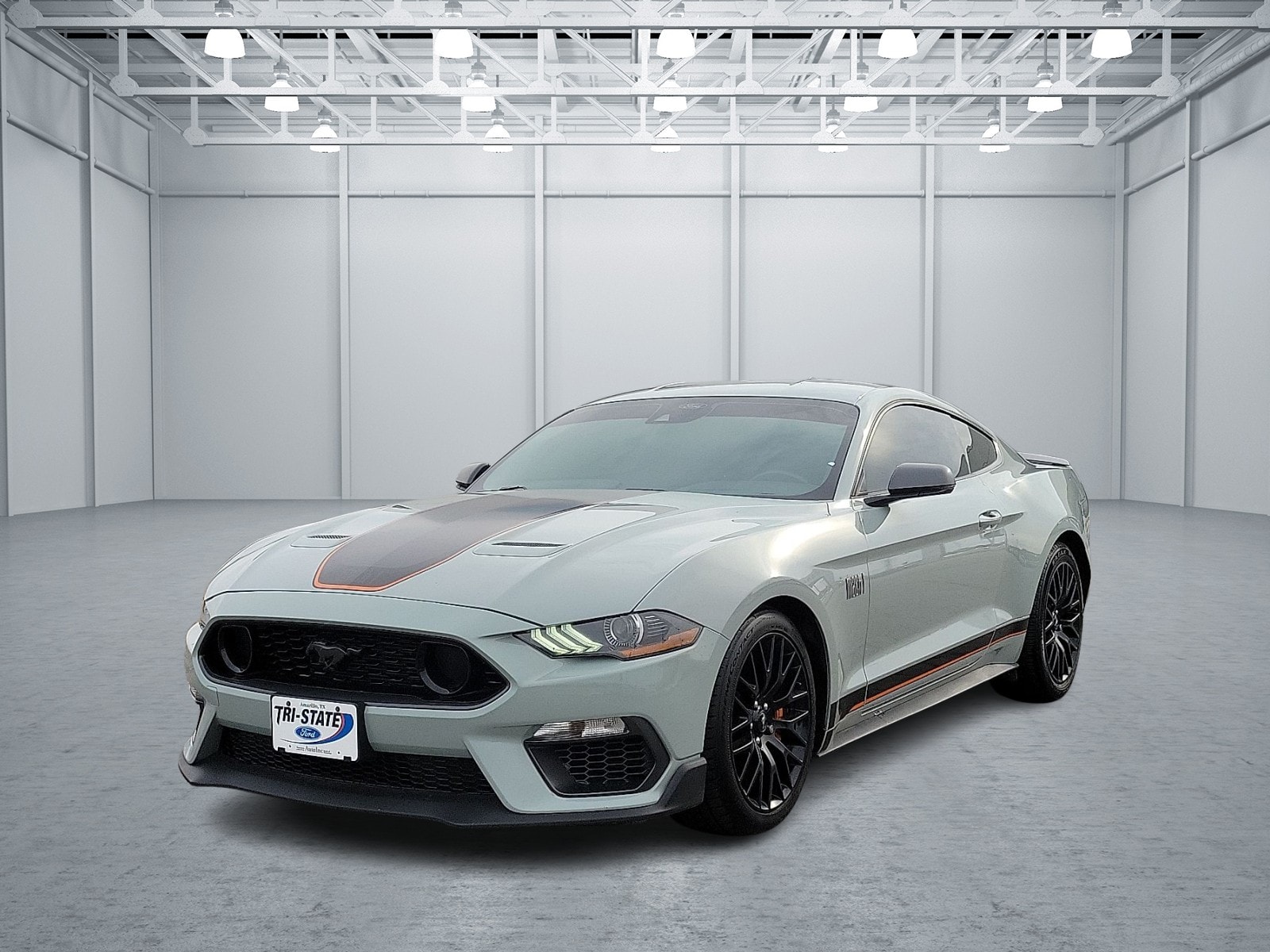 2022 Ford Mustang Mach 1's photo