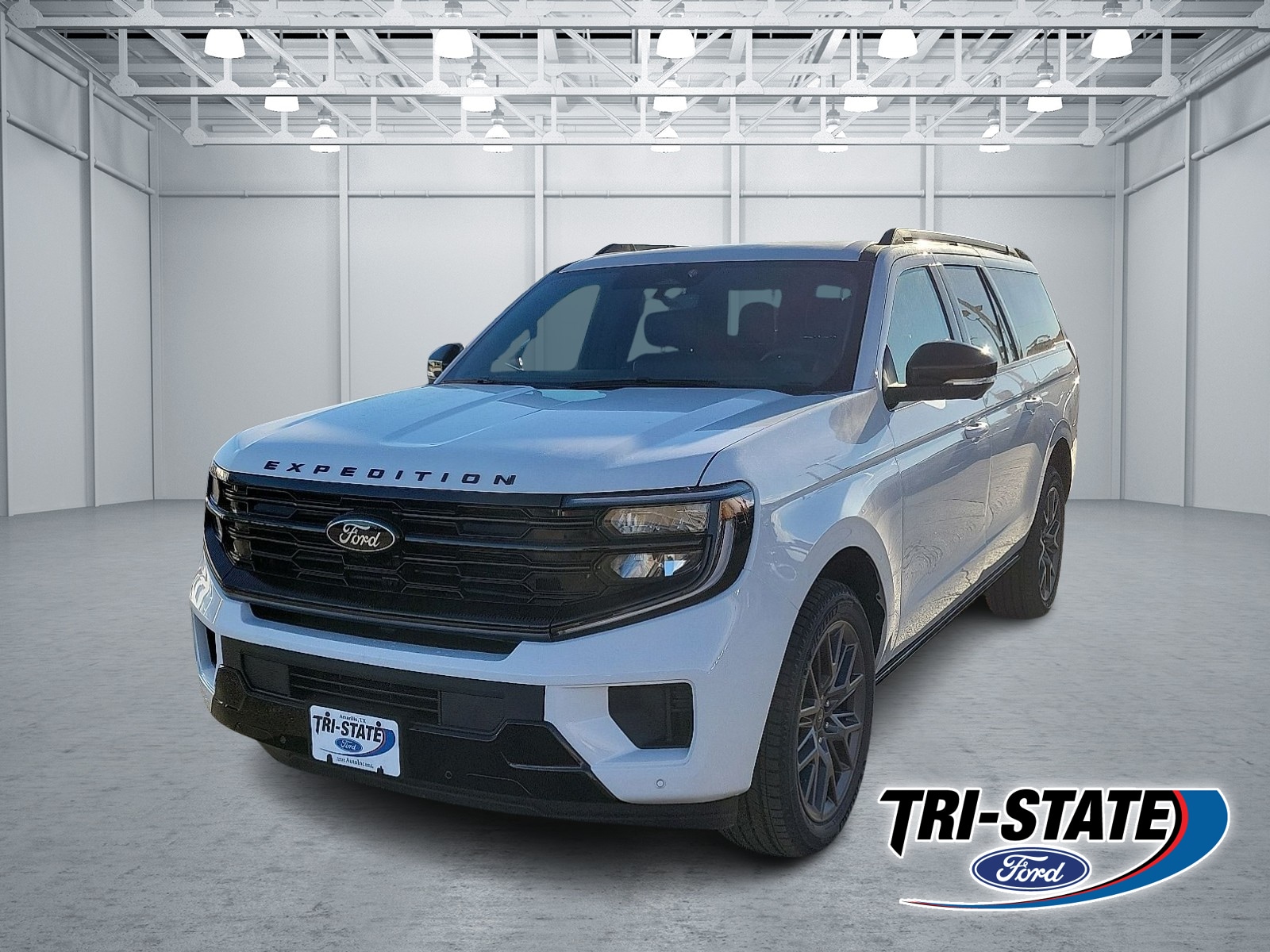 2025 Ford Expedition Platinum's photo