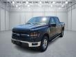 Used 2024 Ford F-150 XLT 4x4 SuperCrew Cab 5.5 ft. box 145 in. WB