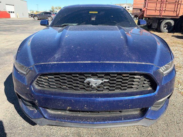 Used 2015 Ford Mustang V6 with VIN 1FA6P8AM7F5344612 for sale in Maryville, MO