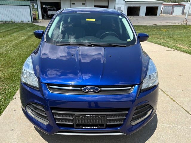 Used 2016 Ford Escape SE with VIN 1FMCU0G72GUB47861 for sale in Kansas City