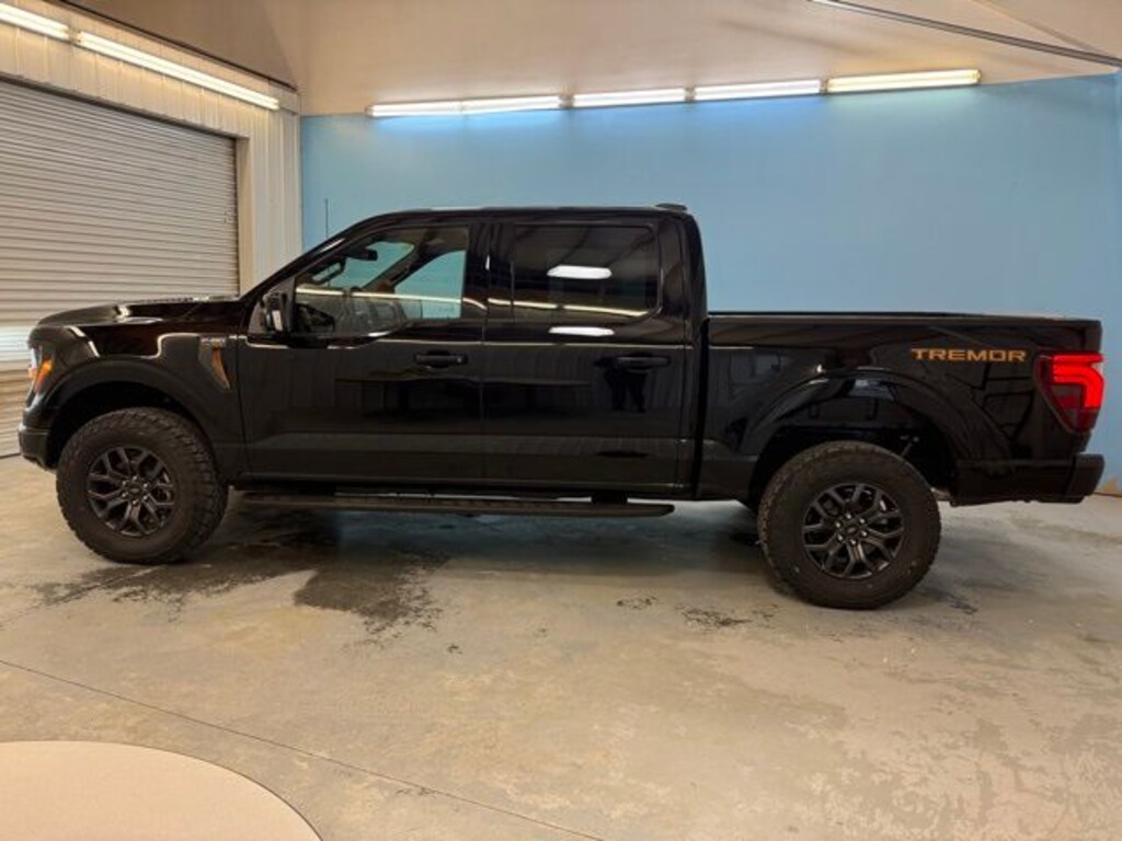 New 2025 Ford F-150 Tremor TRUCK