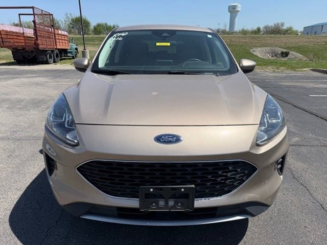 Used 2021 Ford Escape SE with VIN 1FMCU9G68MUA48775 for sale in Kansas City