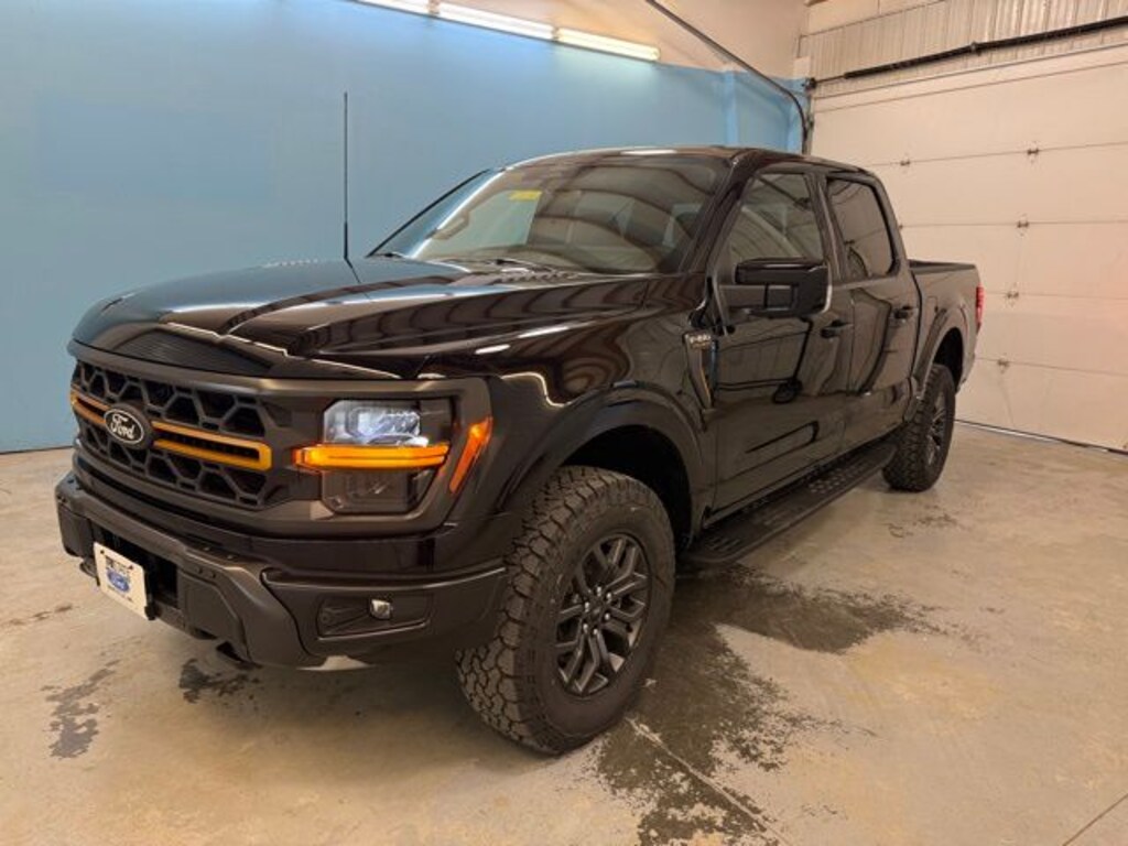 New 2025 Ford F-150 Tremor TRUCK