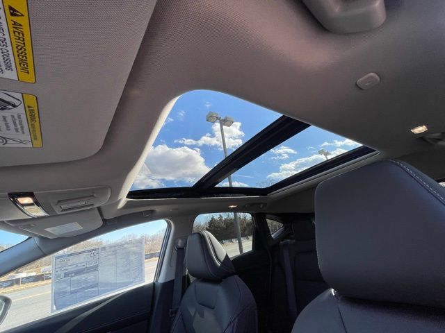 2025 Nissan Murano SL - Photo 15