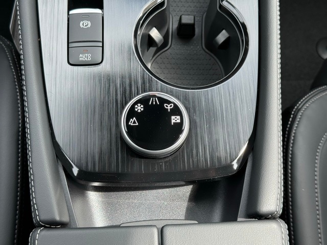 2026 Nissan Rogue Platinum photo 29