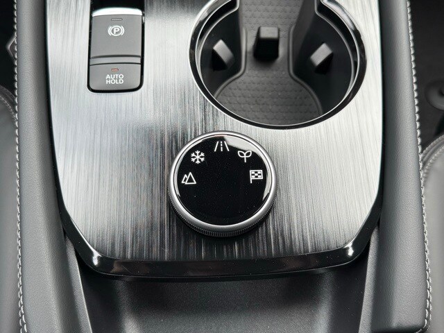 2026 Nissan Rogue Platinum photo 29