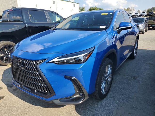 2025 Lexus NX 350h Premium photo 3