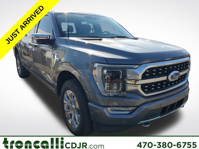 2022 Ford F-150 Platinum's photo
