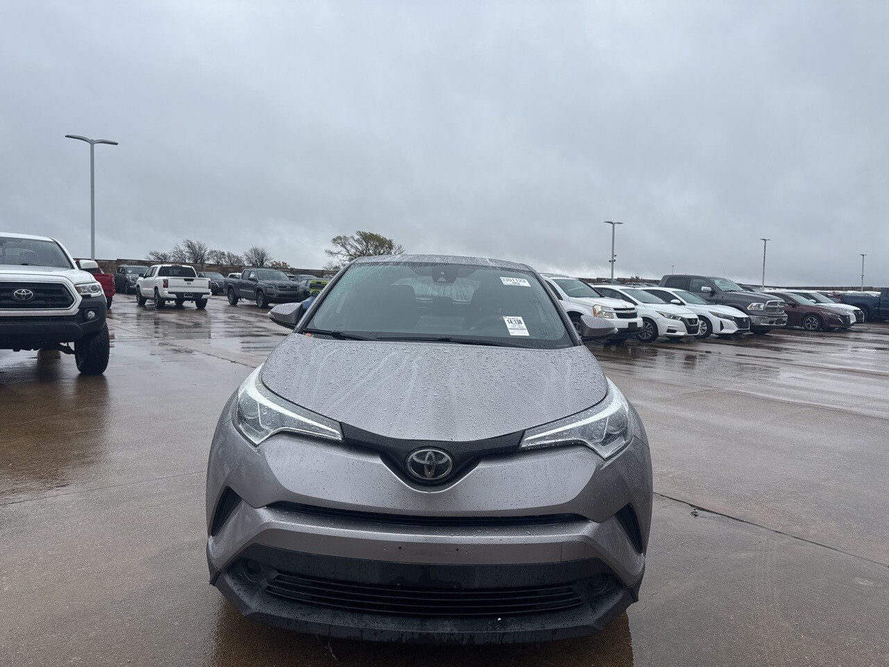 2019 Toyota C-HR XLE Limited photo 2
