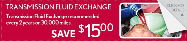 Transmission Fuid Exchange, Mesquite