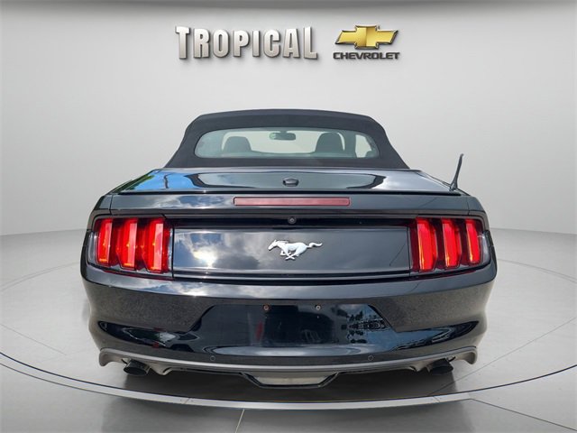 2017 Ford Mustang EcoBoost Premium photo 3