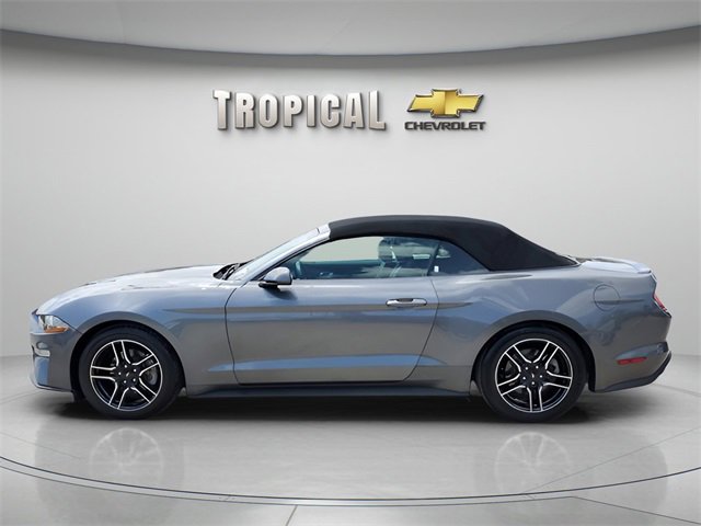 Used 2022 Ford Mustang EcoBoost with VIN 1FATP8UH6N5124524 for sale in Miami, FL