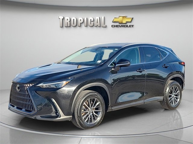 2022 Lexus NX 250's photo