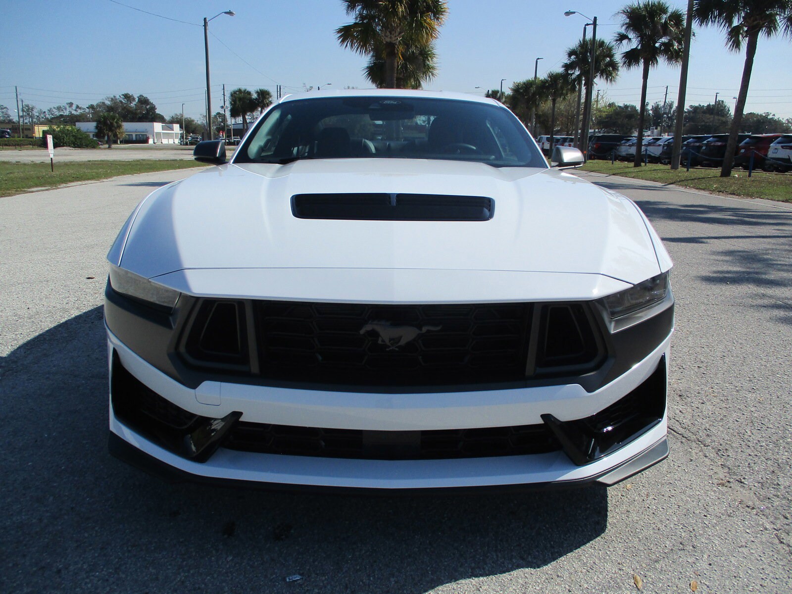 2025 Ford Mustang Dark Horse Premium photo 2